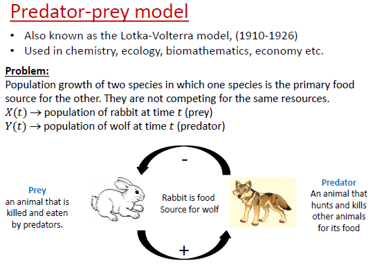 Predator-Prey Model (Lotka–Volterra Model) – Math Zone